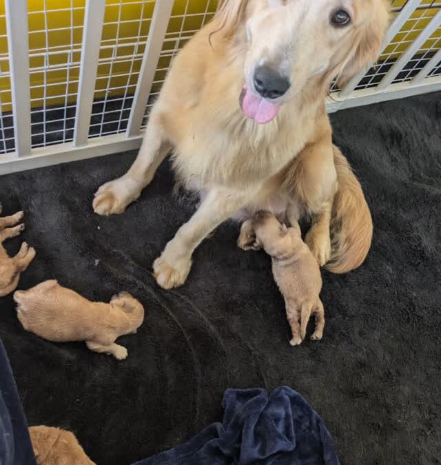 9/29のモンベビちゃんたち