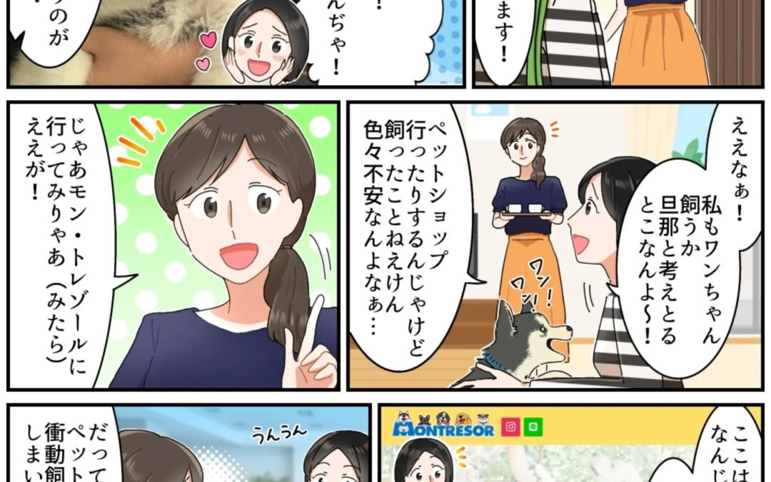 モン・トレゾールが分かるマンガができました