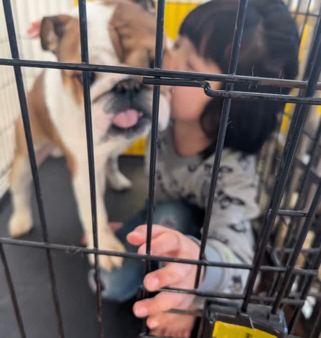 呼んでもおらん