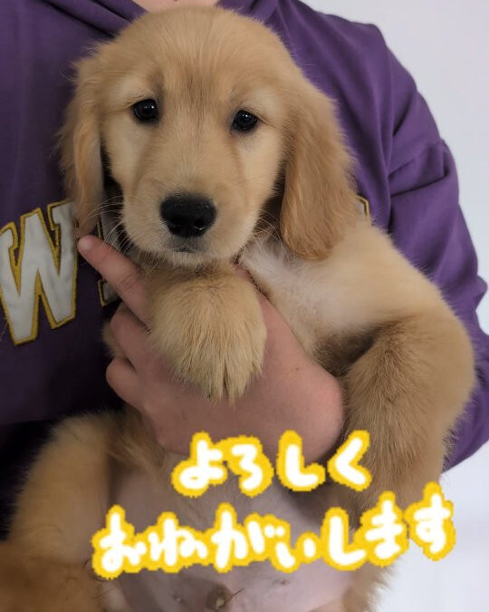 2025/01/22生まれ
