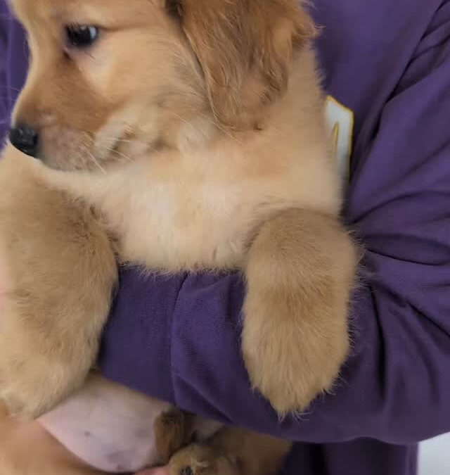 一緒に帰れます✨