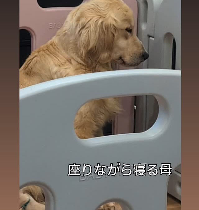 5/28出産して子育て中…