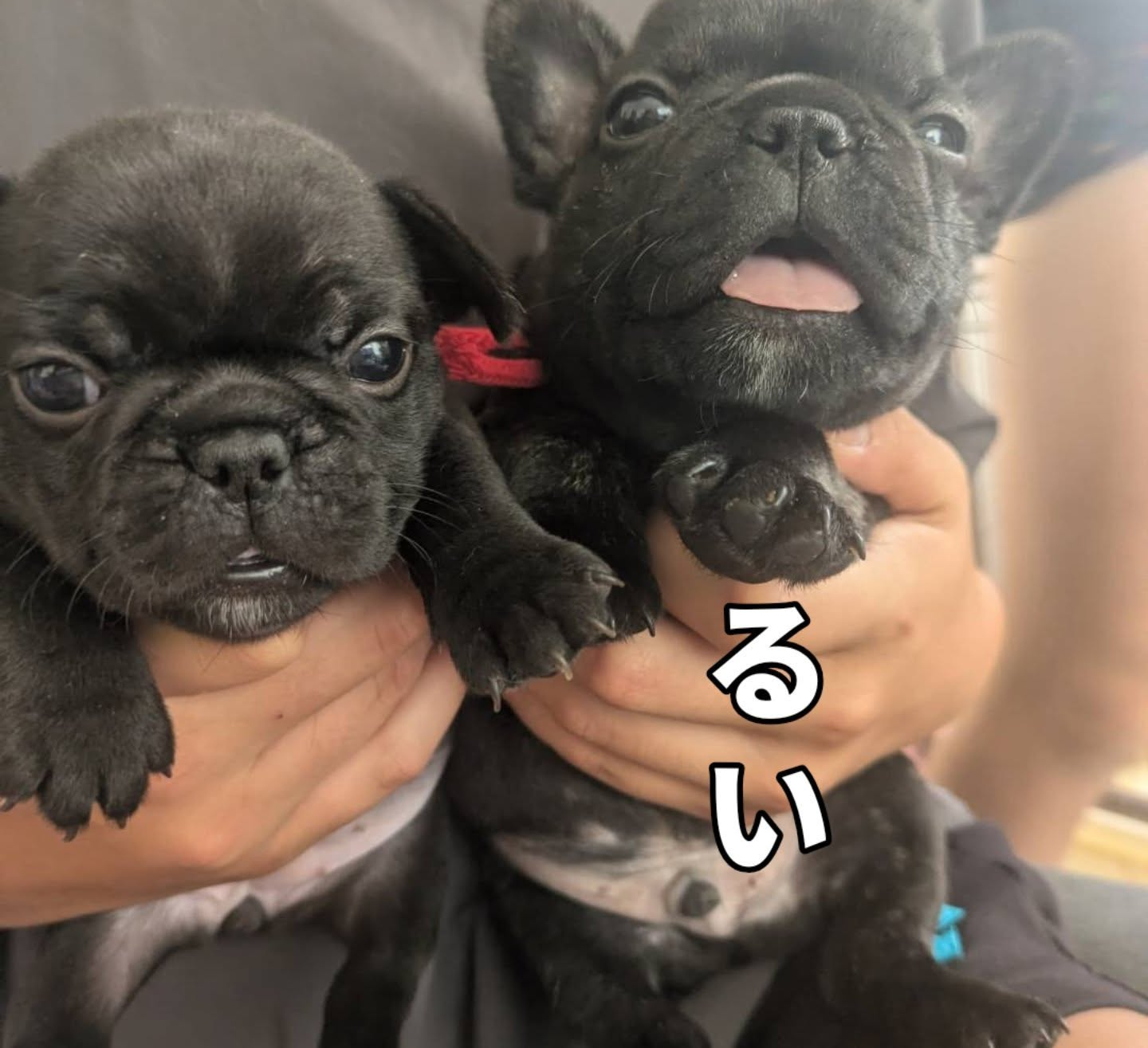 test