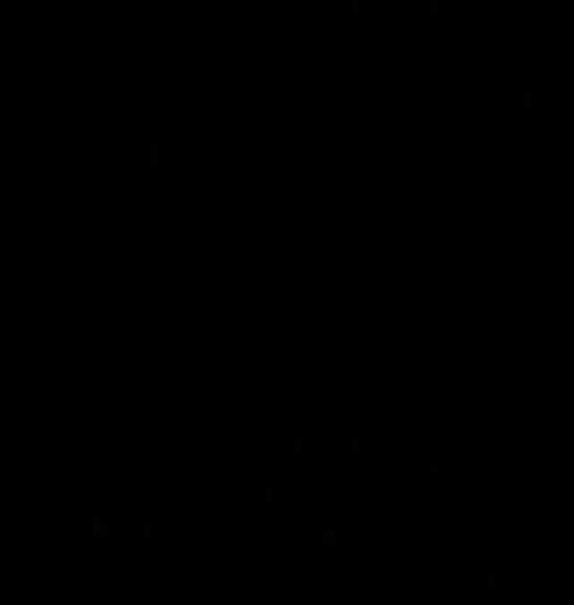 2025年も沢山の出会い、経験がありました