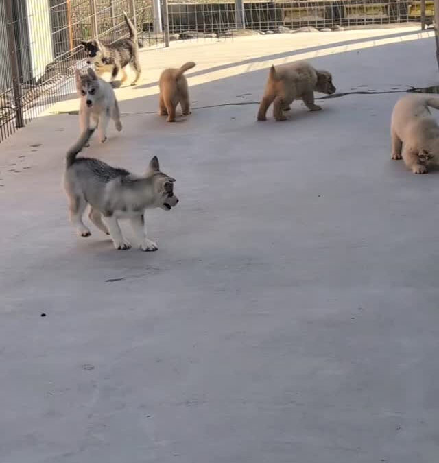 お庭デビュー☺️